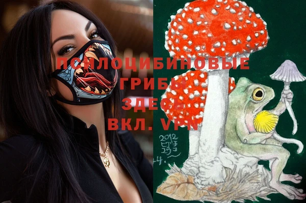 jwh Нязепетровск