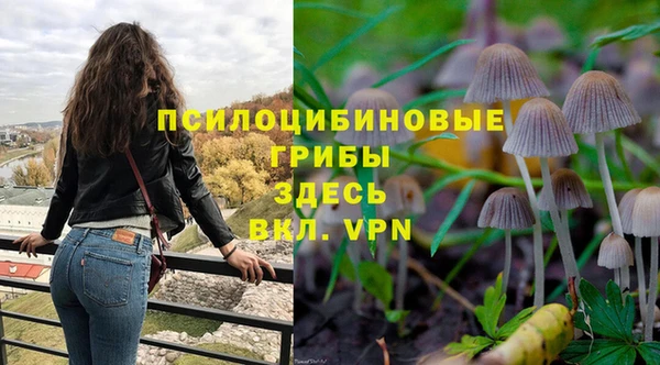 jwh Нязепетровск