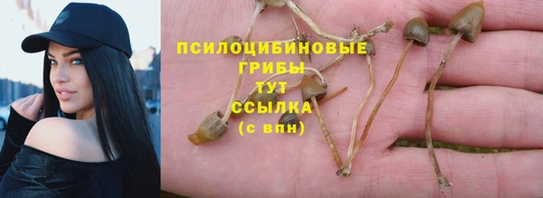 jwh Нязепетровск