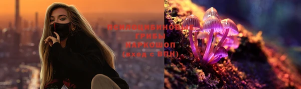 spice Няндома