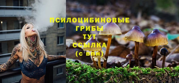 прущие крисы Нягань