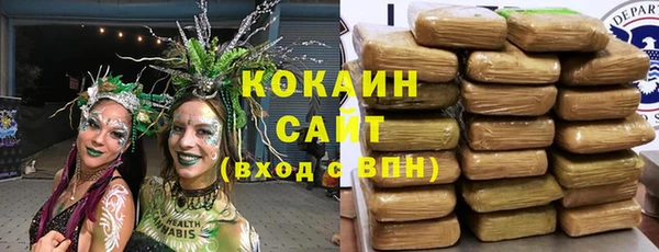 spice Няндома