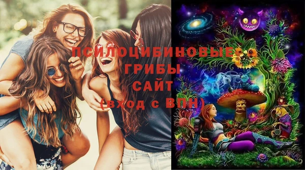 прущие крисы Нягань