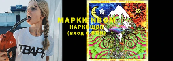 ПСИЛОЦИБИНОВЫЕ ГРИБЫ Болотное